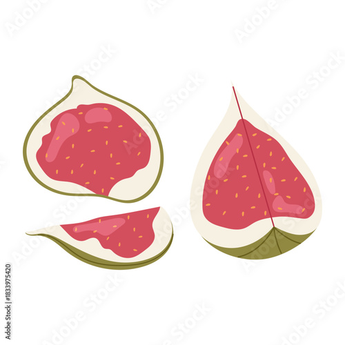 Set juicy fig halves. Fig fruit illustration. Natural sweet snack or dessert. Organic tropical fruits. Flat illustration on white background.