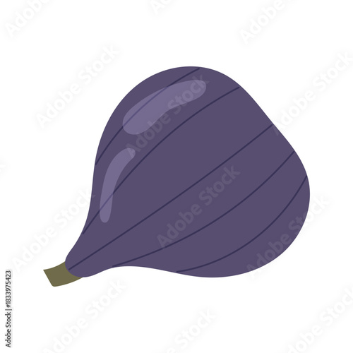 Ripe fig fruit on white. Mediterranean food, cooking ingredient. Juicy exotic fig icon.