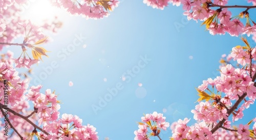 Pink cherry blossoms frame a bright blue sky with a sun flare and falling petals