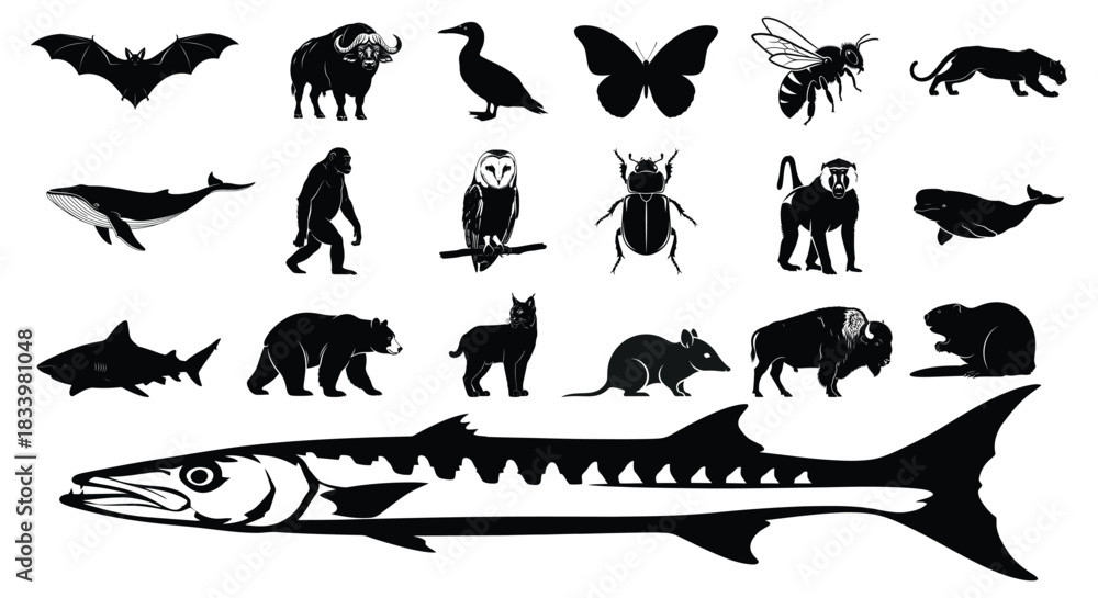 Obraz premium Silhouette collection featuring diverse animal species including mammals birds and insects artfully arranged