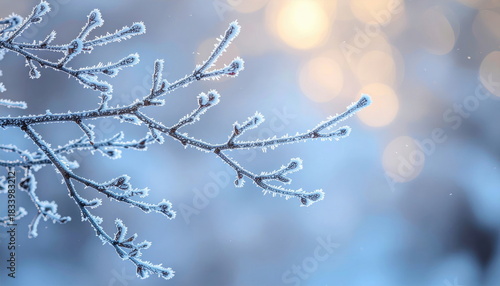 A frost covered tree branch extends across a soft blue winter landscape with warm bokeh lights in the background