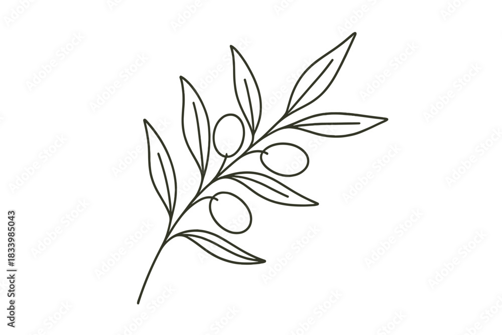 Obraz premium Minimalist line art of olive branch with leaves and olives