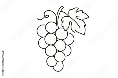 Simple black and white grape drawing with leaf detailing