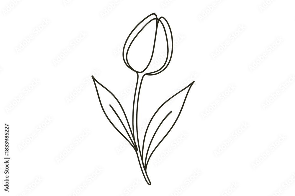 Obraz premium Minimalist line drawing of a single tulip