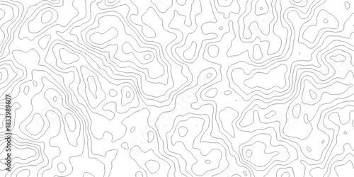 Contour abstract map relief land outline. Topographic map patterns. White wave paper curved reliefs abstract background. Background of the topography map. Abstract pattern with lines.	
