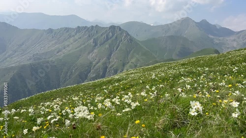 Mountain landscape in Parc national du Mercantour in the Alpes-Maritimes in France near the Col de Turini and the Fort de la Redoute.