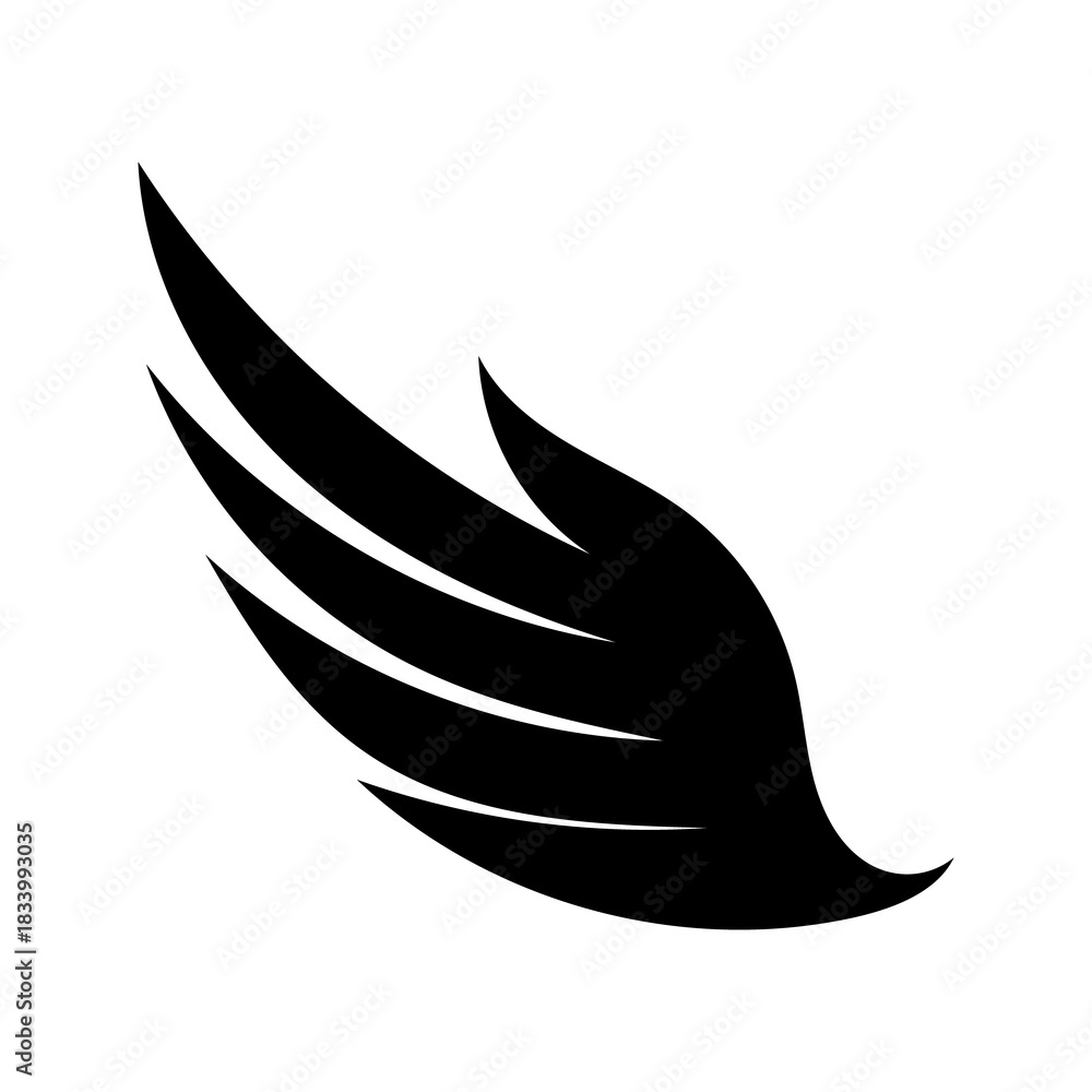 Fototapeta premium dove on white background