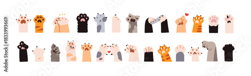 Set of cute cats' paws. Doodle kittens' hands with pads and claws gesturing: greeting, pointing, showing signs of heart, peace, thumb up. Flat isolated hand drawn vector illustrations on white