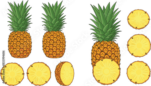 Cartoon Pineapple Fruit Collection with Whole Pineapples and Sliced Rings Tropical Colorful Flat Vector Illustration Set