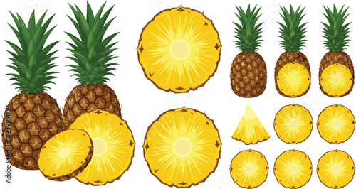 Cartoon Pineapple Fruit Collection with Whole Pineapples Rings Wedges and Sliced Pieces Tropical Flat Vector Illustration Set