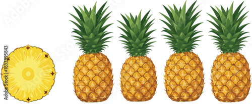 Cartoon Pineapple Fruit Set with Whole Tropical Pineapples and Sliced Ring Colorful Flat Vector Illustration Isolated