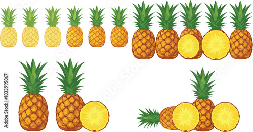 Cartoon Pineapple Fruit Variety Set with Whole Pineapples and Sliced Rings Tropical Colorful Flat Vector Illustration