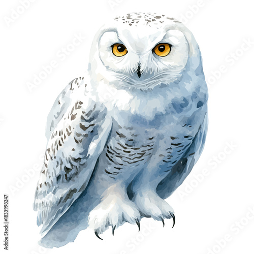 Snowy Owl, detailed watercolor clipart vector, isolated on a pure white background.