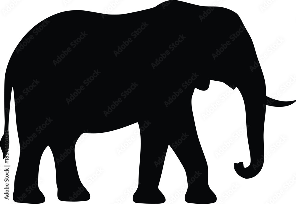 Fototapeta premium Elephant Silhouette – Isolated on Transparent Background African Wildlife Animal Vector