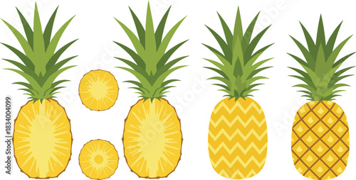 Pineapple Fruit Illustration Set with Whole Pineapples Sliced Pieces and Decorative Patterns Tropical Flat Vector