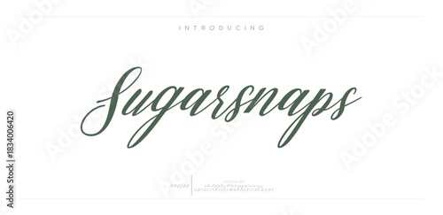 Abstract minimal creative alphabet fonts. Flat twisted Regular font.