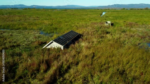 US, OR, Svenson, 2025-10-21 - Drone view of sunken and abandoned housees on an offshoot of the Columbia River near Astoria, Oregon in Fall