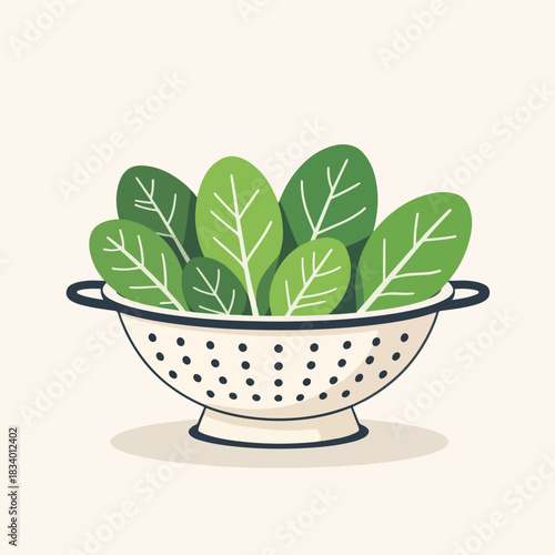 A flat design graphic of fresh spinach in a colander. Healthy leafy greens for cooking and nutrition concepts. Simple food icon isolated on a background