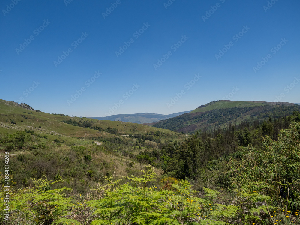 Obraz premium Südafrika