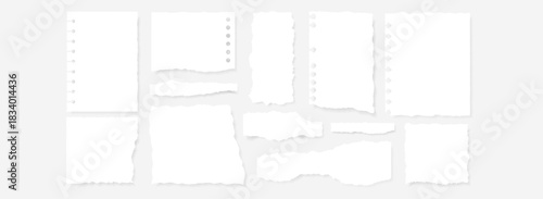 Set of 15 blank ripped paper scrap elements with torn edges, spiral notebook holes, and soft shadows. Ideal for collages, moodboards, digital scrapbooking, and creative layouts.