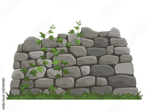 Old grey stone wall covered with green climbing ivy plants