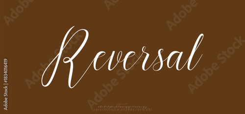 Elegant serif alphabet font with modern contrast strokes and clean lines. Perfect for editorial, branding, and high-end design