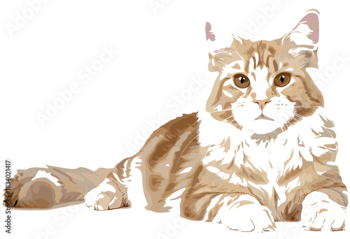 Highly Detailed Vector Illustration of a Majestic Maine Coon Cat Lying Down, Featuring Long Fur and a Relaxed Posture, Perfect for High-End Pet Branding.