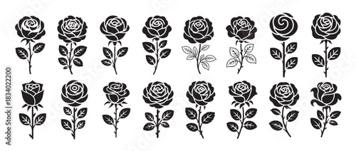 Rose flowers with stem and leaves. black silhouettes. decorative floral elements on white background