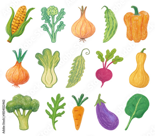 Colorful hand-drawn vegetable illustrations