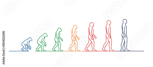 Evolution of humans illustrated in a gradient of colors  