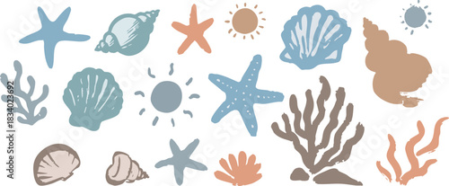 Hand-drawn sea shells and starfish coastal vector elements set