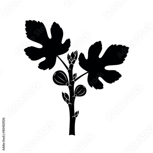 Fig branch silhouette with leaves and fruit.