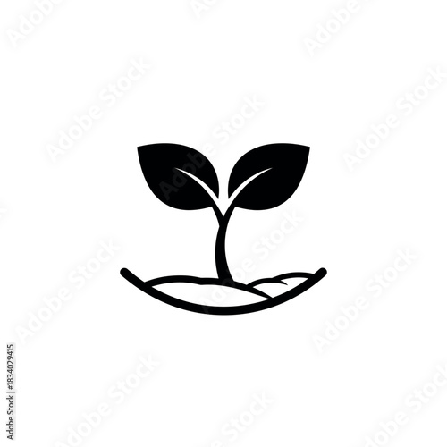 Seedling sprouting from soil symbolizing new beginnings.