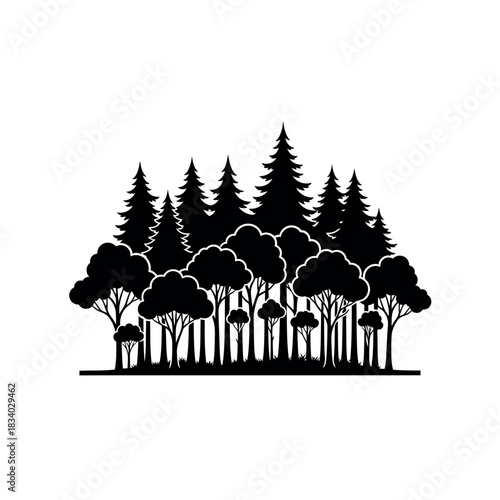 Silhouette of a dense forest with various tree types.