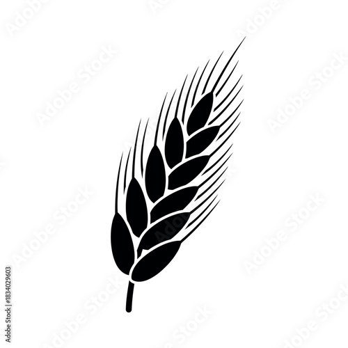 Wheat ear grain agriculture harvest symbol.