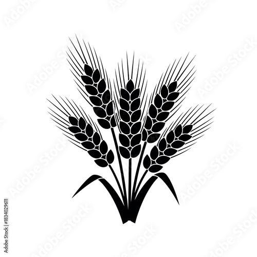 Wheat stalks illustration for agriculture and harvest themes.
