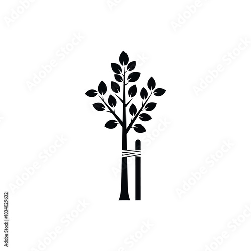 Young tree supported by stakes for growth and stability.