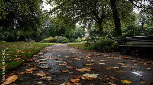 A serene park scene with leaves crunching beneath footsteps (1)