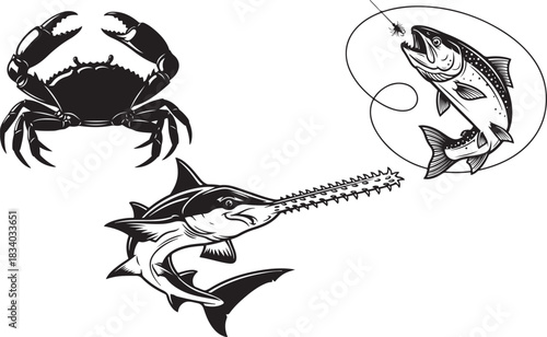 Vibrant marine life illustration featuring crab sawfish and diverse fish