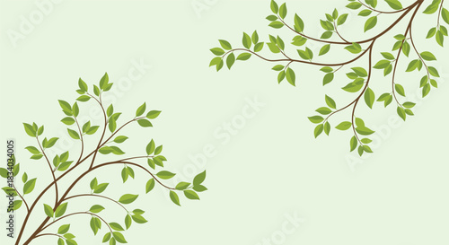 Simple and elegant nature background with two tree branches with fresh green leaves in the corners, on a soft pastel green background.