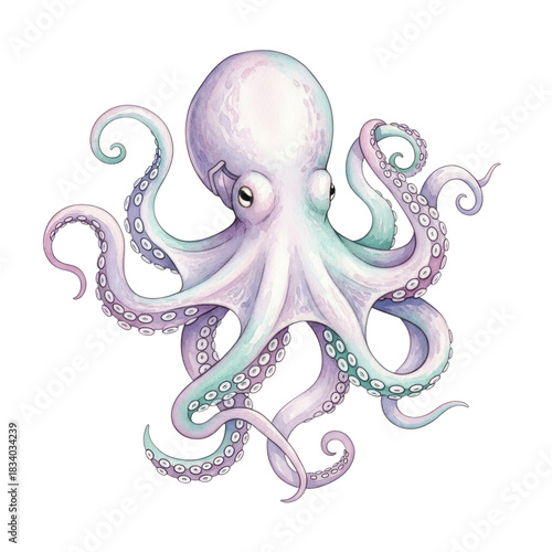 Illustration of an octopus with tentacles on a solid color surface on transparent background