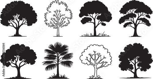 Collection of eight diverse tree silhouettes and line drawings nature plant