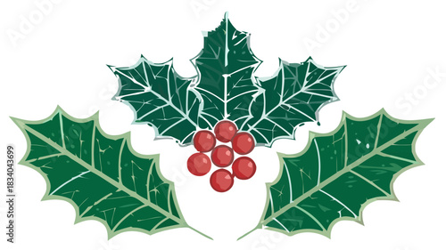 Festive holly sprig with bright berries for Christmas cards and winter holiday designs of vector origin