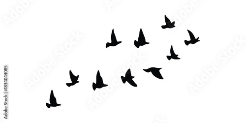 Group of Birds Flying Silhouette Vector Graphic. Flock of Flying Birds Clipart