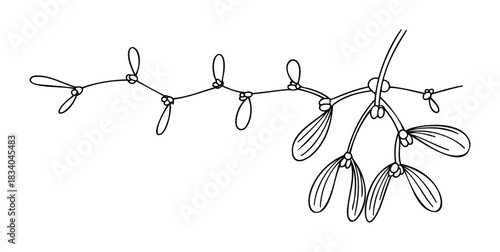 Black and white line drawing of mistletoe branch with berries, perfect for holiday or botanical themed projects and seasonal celebrations.