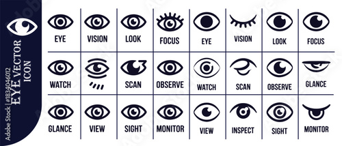 Set of human eye icons with various styles, symbols, and descriptions for vision and observation