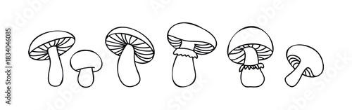 A delightful collection of handdrawn mushrooms in various shapes and sizes, perfect for adding a touch of nature to your creative projects and seasonal decorations.