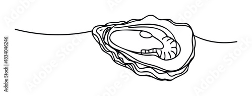 Single line drawing of an open oyster with pearls inside, symbolizing seafood, gastronomy, and ocean delicacies for culinary and refreshment themes.