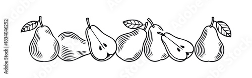 Line drawing of fresh ripe pears, some whole and some halved, with leaves and stems, perfect for healthy food themes and agricultural promotions.