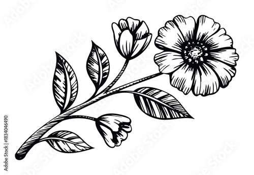 Elegant black and white botanical sketch featuring blooming flowers and leaves, perfect for graphic design, invitations, and decorative applications.